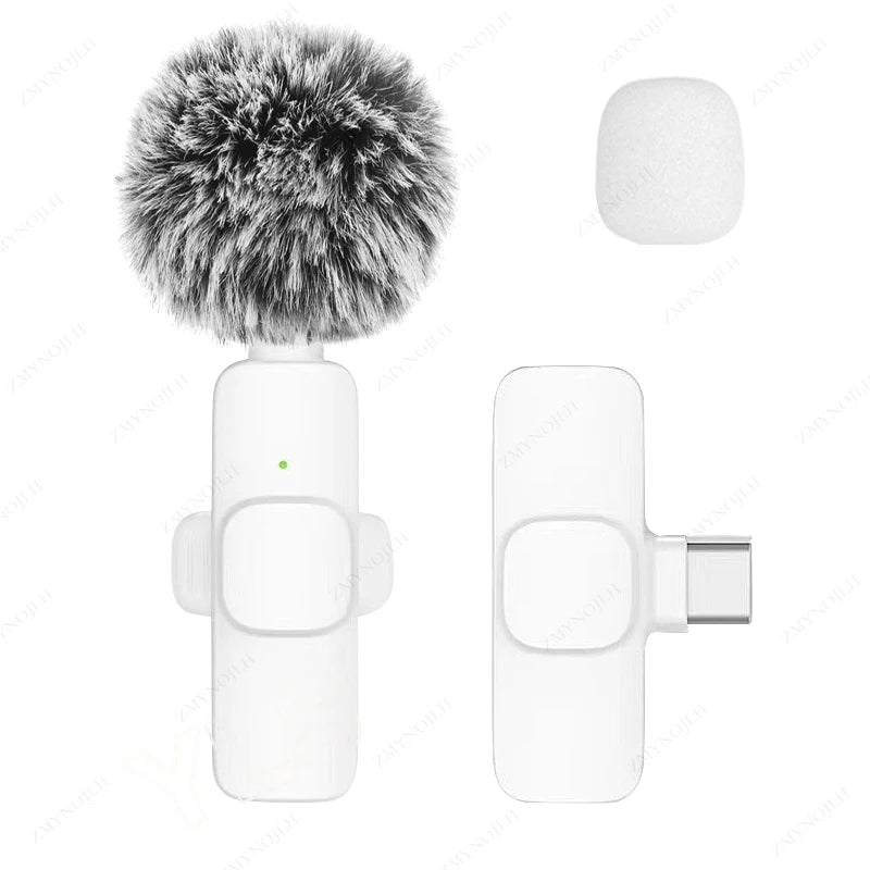 Microfone