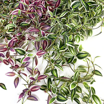 Plantas Artificiais