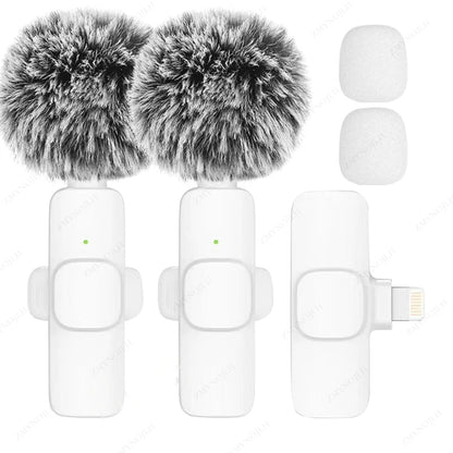Microfone